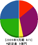渡辺木材工業 貸借対照表 2009年9月期
