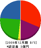 藤沢建設 貸借対照表 2009年12月期