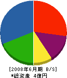 千代田工業 貸借対照表 2008年6月期