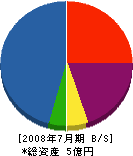 坂田組 貸借対照表 2008年7月期