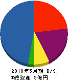 丸芳組 貸借対照表 2010年5月期
