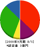 武元 貸借対照表 2008年9月期