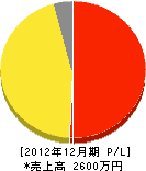 栄雄システム 損益計算書 2012年12月期