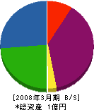 函館土木調査 貸借対照表 2008年3月期