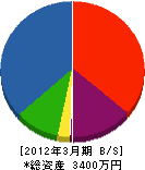 平川緑地産業 貸借対照表 2012年3月期