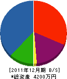 丸河電気工事店 貸借対照表 2011年12月期