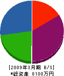 片岡電気工事 貸借対照表 2009年3月期