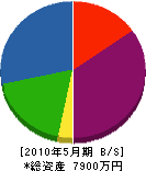 川原組 貸借対照表 2010年5月期
