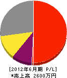 吉田電業 損益計算書 2012年6月期