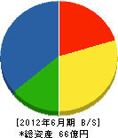中野プランツ 貸借対照表 2012年6月期