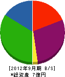 松栄興業 貸借対照表 2012年9月期