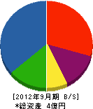 増山電業 貸借対照表 2012年9月期