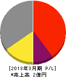 ジャパンコンステック 損益計算書 2013年3月期
