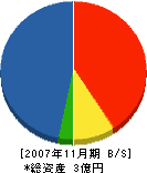 壱九 貸借対照表 2007年11月期
