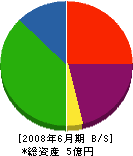太田興産 貸借対照表 2008年6月期