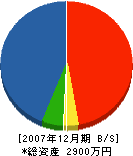瀧野設備工業所 貸借対照表 2007年12月期