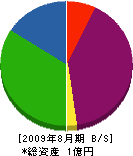 岩崎商事 貸借対照表 2009年8月期