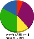 千葉電気 貸借対照表 2010年9月期