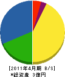 長谷川ガス 貸借対照表 2011年4月期