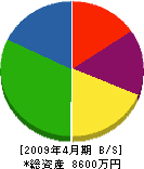 堀井工務店 貸借対照表 2009年4月期