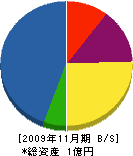中崎建設 貸借対照表 2009年11月期