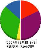 竹田工務店 貸借対照表 2007年12月期