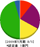 櫻本建設 貸借対照表 2009年5月期