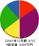 杉田組 貸借対照表 2007年12月期