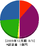 井手組 貸借対照表 2009年12月期