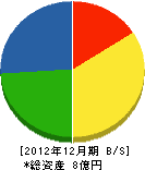 森田緑化 貸借対照表 2012年12月期