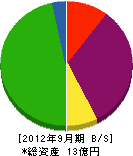 丸嶋総業 貸借対照表 2012年9月期