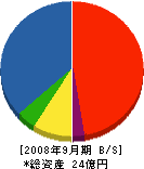 浜崎建設 貸借対照表 2008年9月期