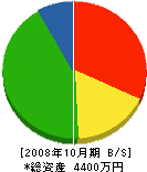 田中組 貸借対照表 2008年10月期