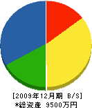 石田工務店 貸借対照表 2009年12月期