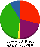 野田建設 貸借対照表 2008年12月期