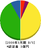 長崎三共有機 貸借対照表 2008年3月期