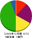 佐藤建設 貸借対照表 2009年12月期