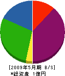 トミカワ建設 貸借対照表 2009年5月期
