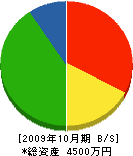 田中組 貸借対照表 2009年10月期