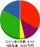 山本電気商会 貸借対照表 2012年3月期