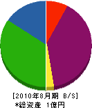 岩崎商事 貸借対照表 2010年8月期