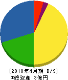 長谷川ガス 貸借対照表 2010年4月期