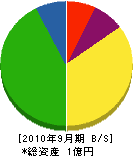 小野澤建材 貸借対照表 2010年9月期