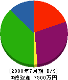 斉藤組 貸借対照表 2008年7月期