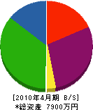 松本建設 貸借対照表 2010年4月期