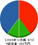 武田工務店 貸借対照表 2009年12月期 武田工務店 貸借対照表 2009年12月期