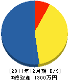辰巳野組 貸借対照表 2011年12月期