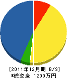 中田組 貸借対照表 2011年12月期