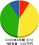 ミシマ総合土木 貸借対照表 2009年4月期