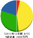 竹治電機商会 貸借対照表 2011年12月期